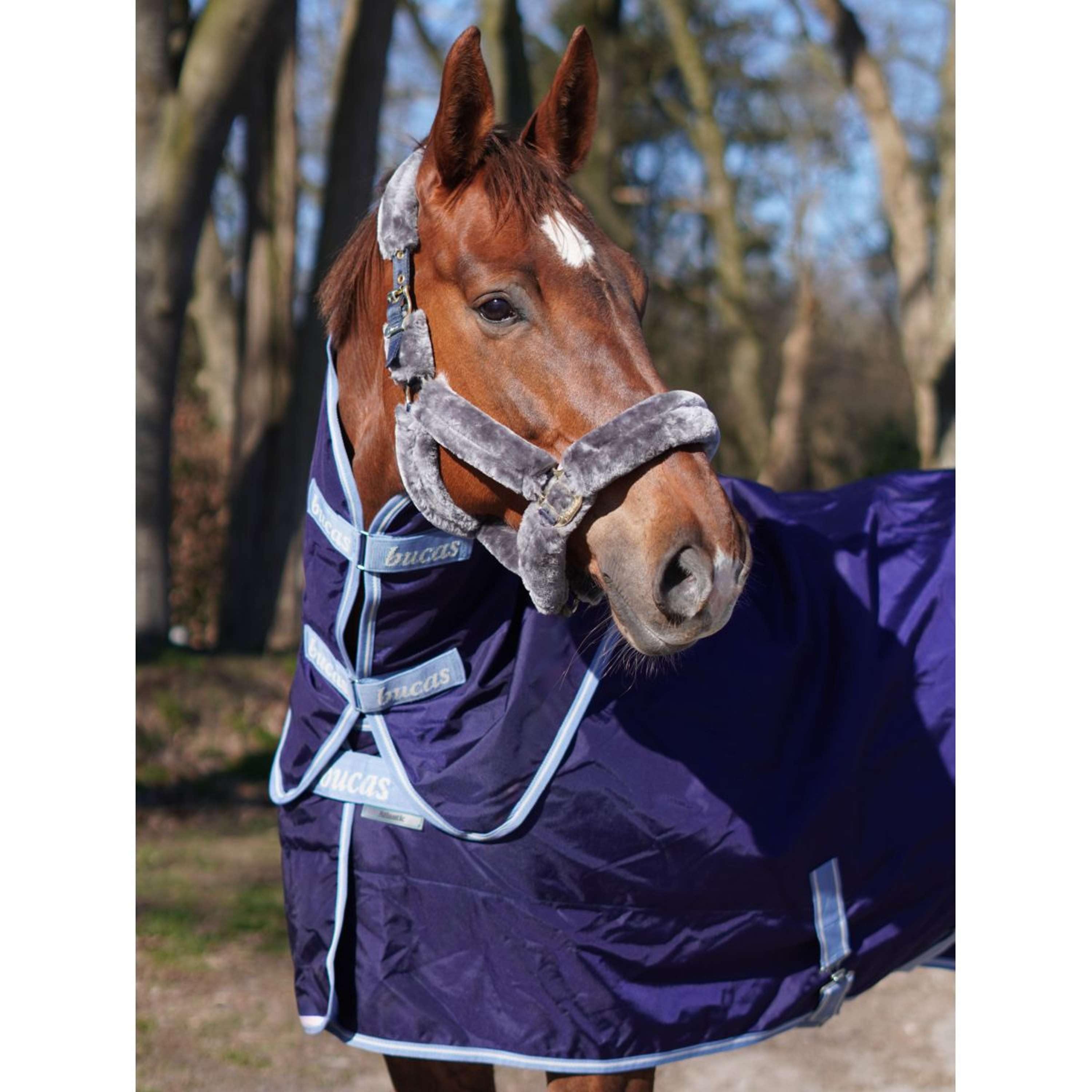 Bucas Atlantic Exclusive met Hals Navy/Blauw