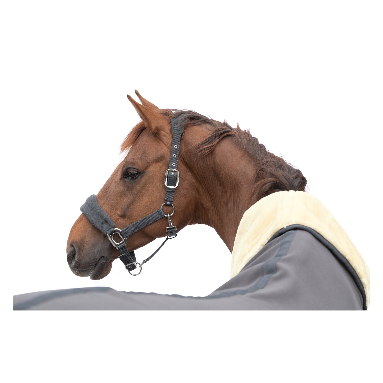 Cheval de Luxe Abschwitzdecke Lae mit Fellkragen  - grey