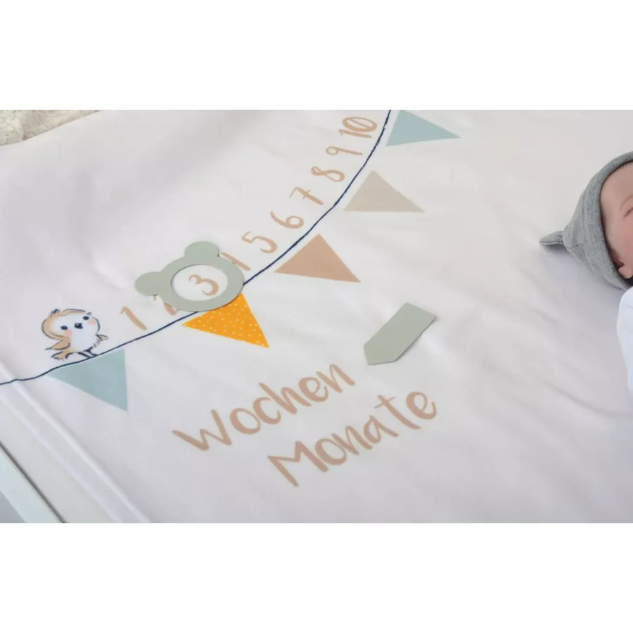 babybest® Meilensteindecke Waldfreunde