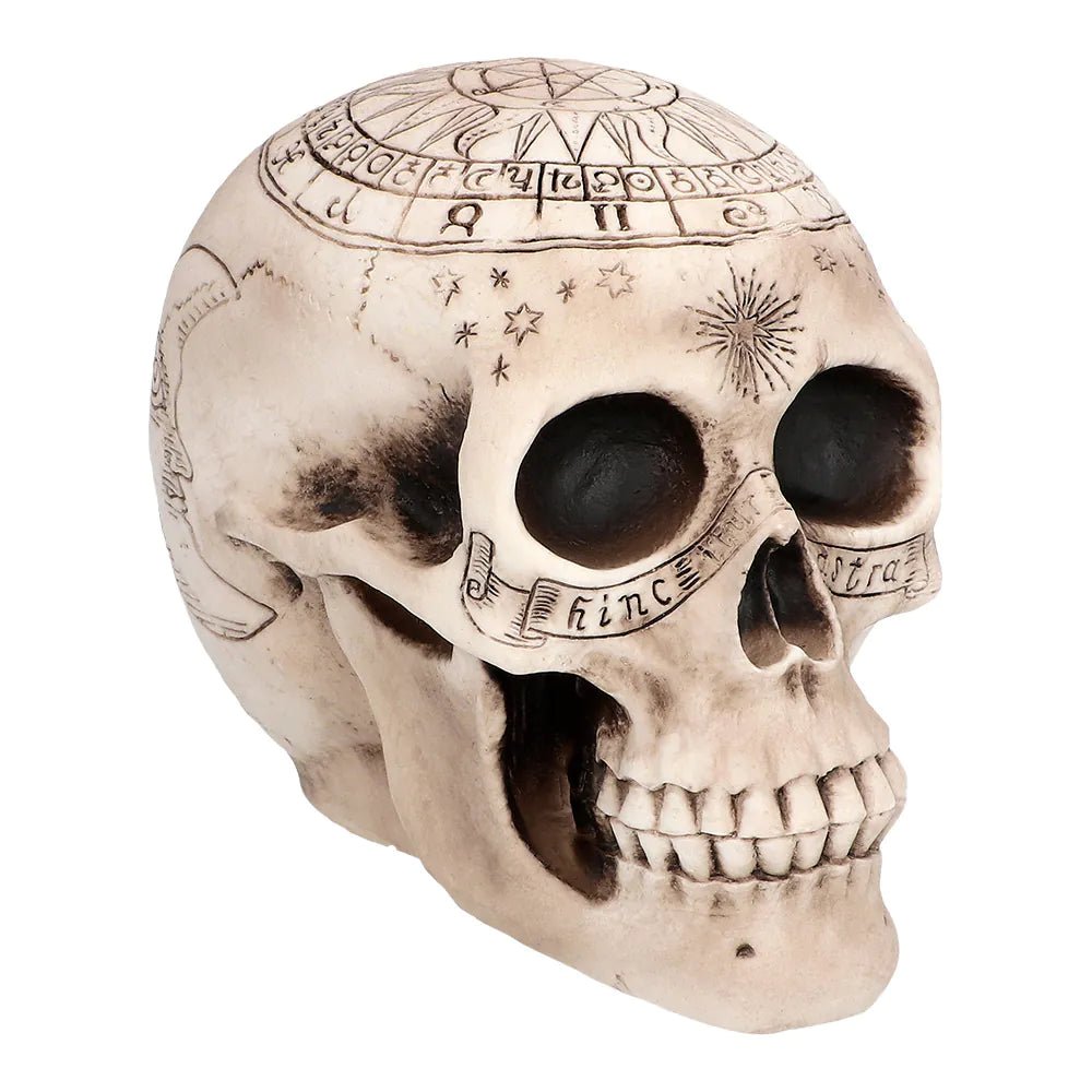 Halloween Schedel Sterrenkunde 20cm