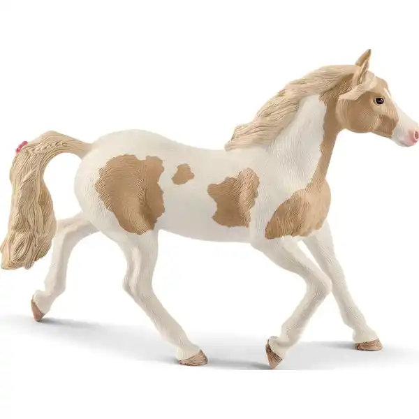 13884 Paint Horse Stute