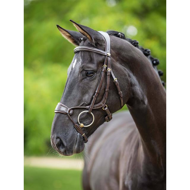 Hoofdstel LeMieux Kudos Clear Arc Bruin-goud