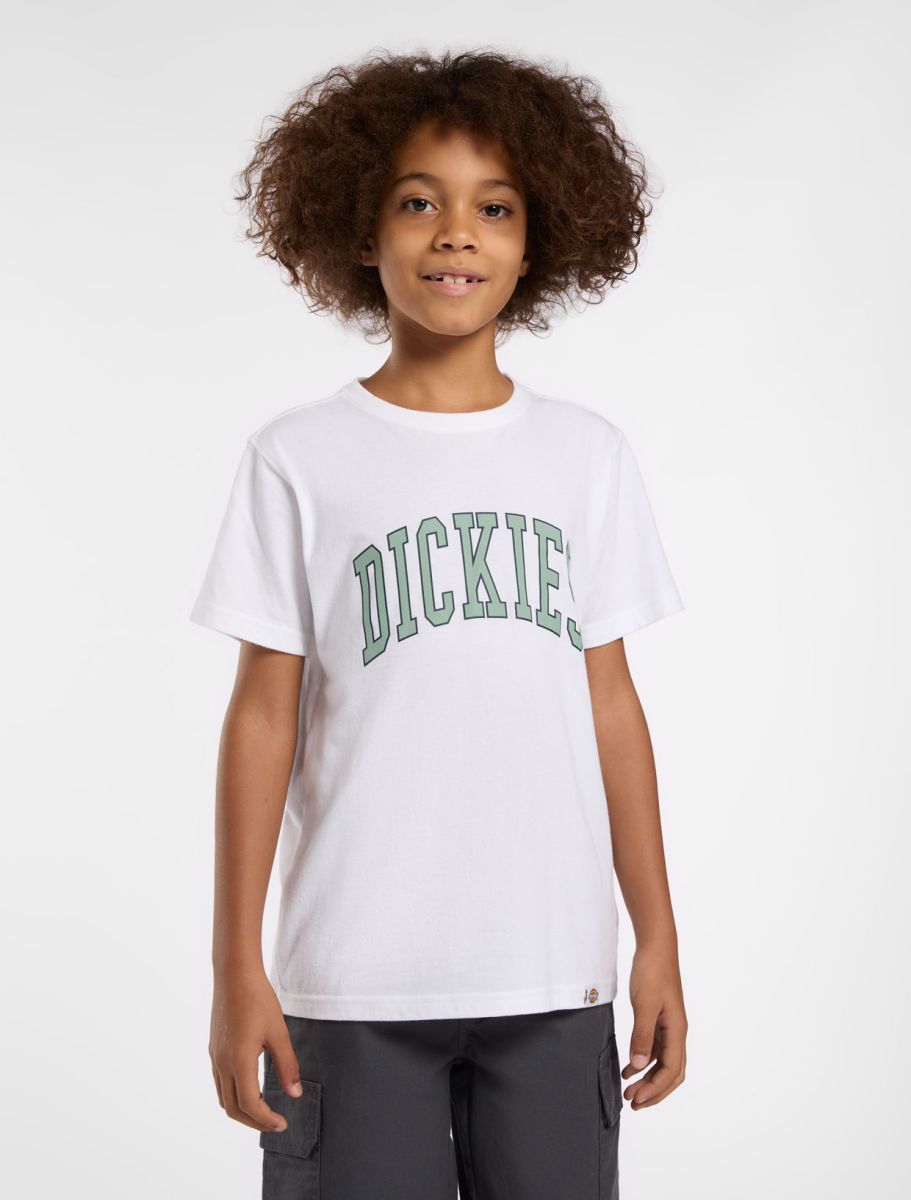 Dickies Youth Aitkin Tee SS Country Blue