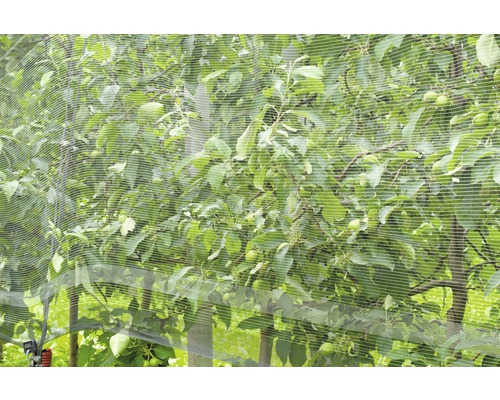 FloraSelf vogelbeschermingsnet 10 x 2 m, maaswijdte 8 mm