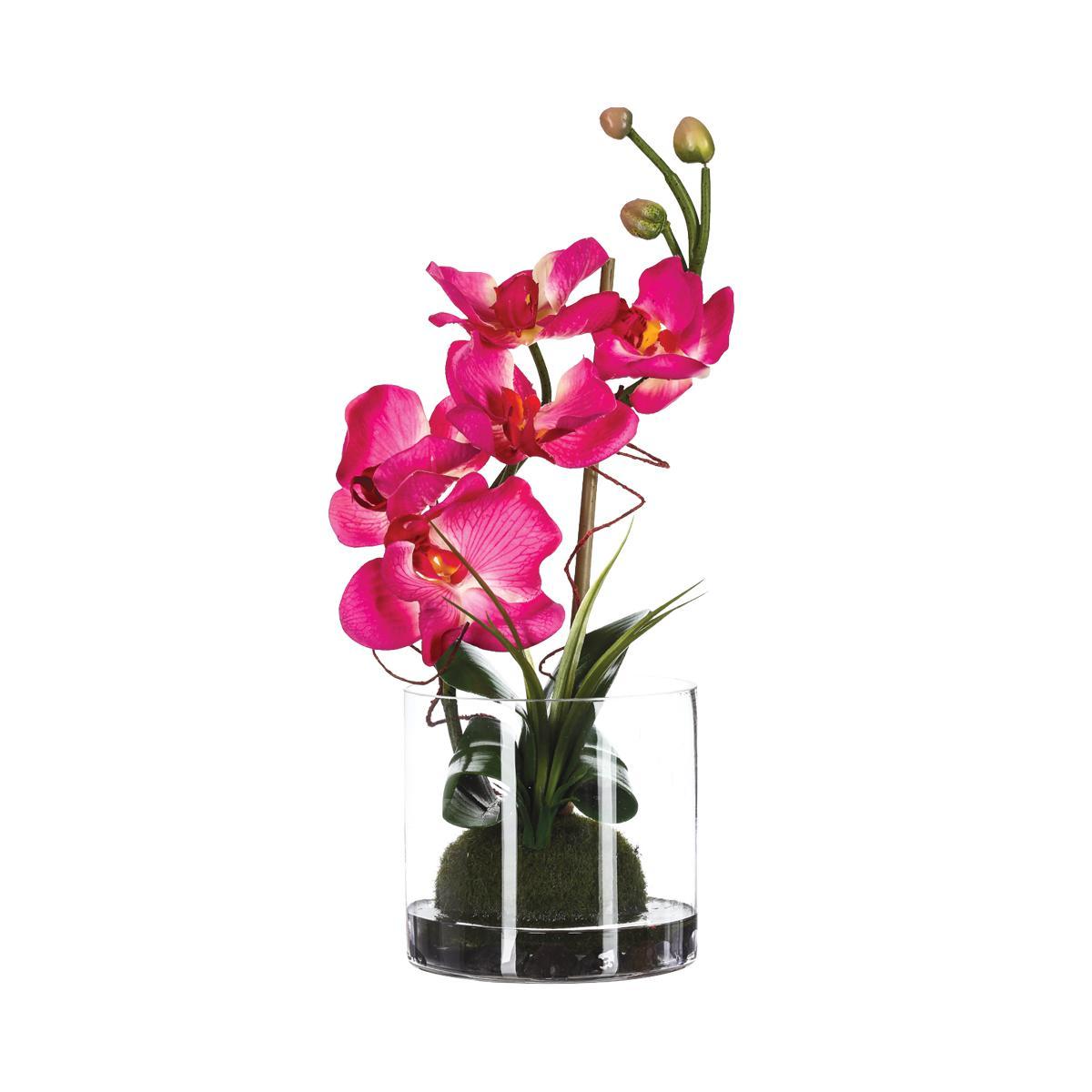 COMPOSITION ORCHIDEES VASE VERRE H.37CM