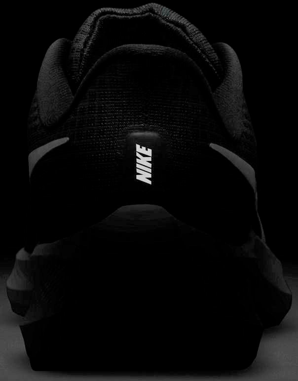 Nike Laufschuh »AIR ZOOM PEGASUS 39«