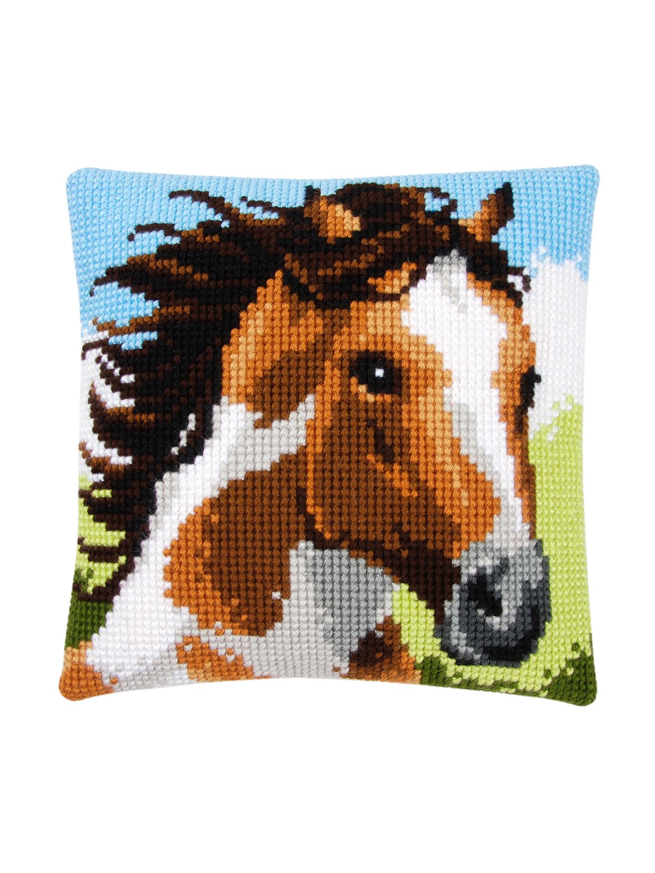 Kit canevas pour coussin