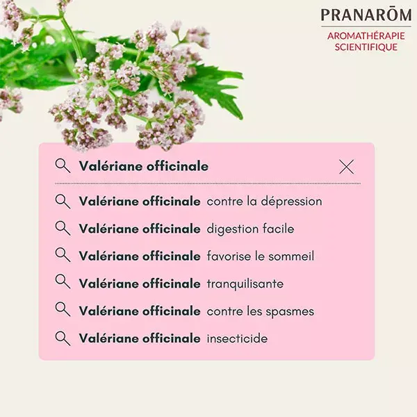 Pranarom Huile Essentielle Valériane Officinale 5ml