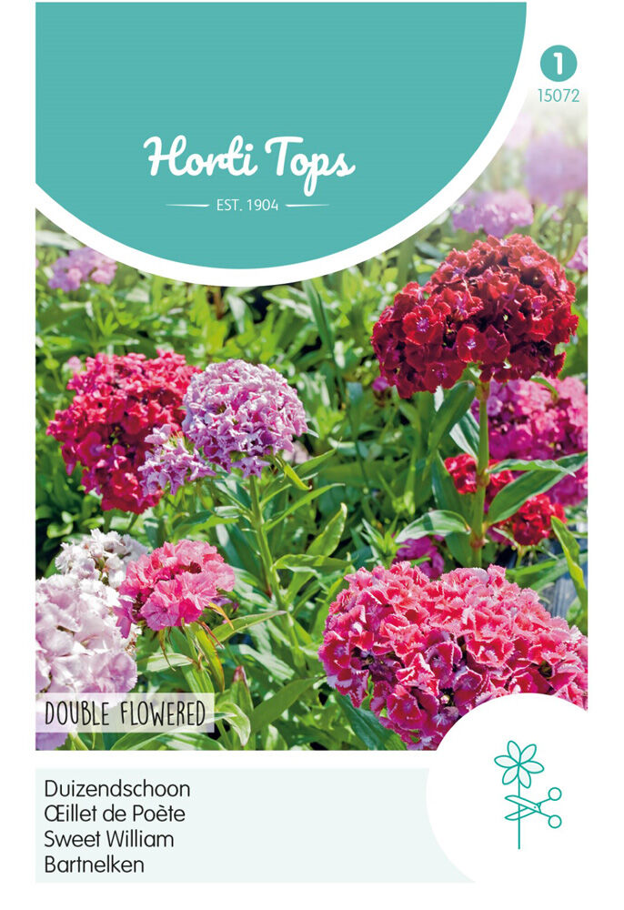 Hortitops Duizendschoon Dubbelbloemig - Bloemzaden