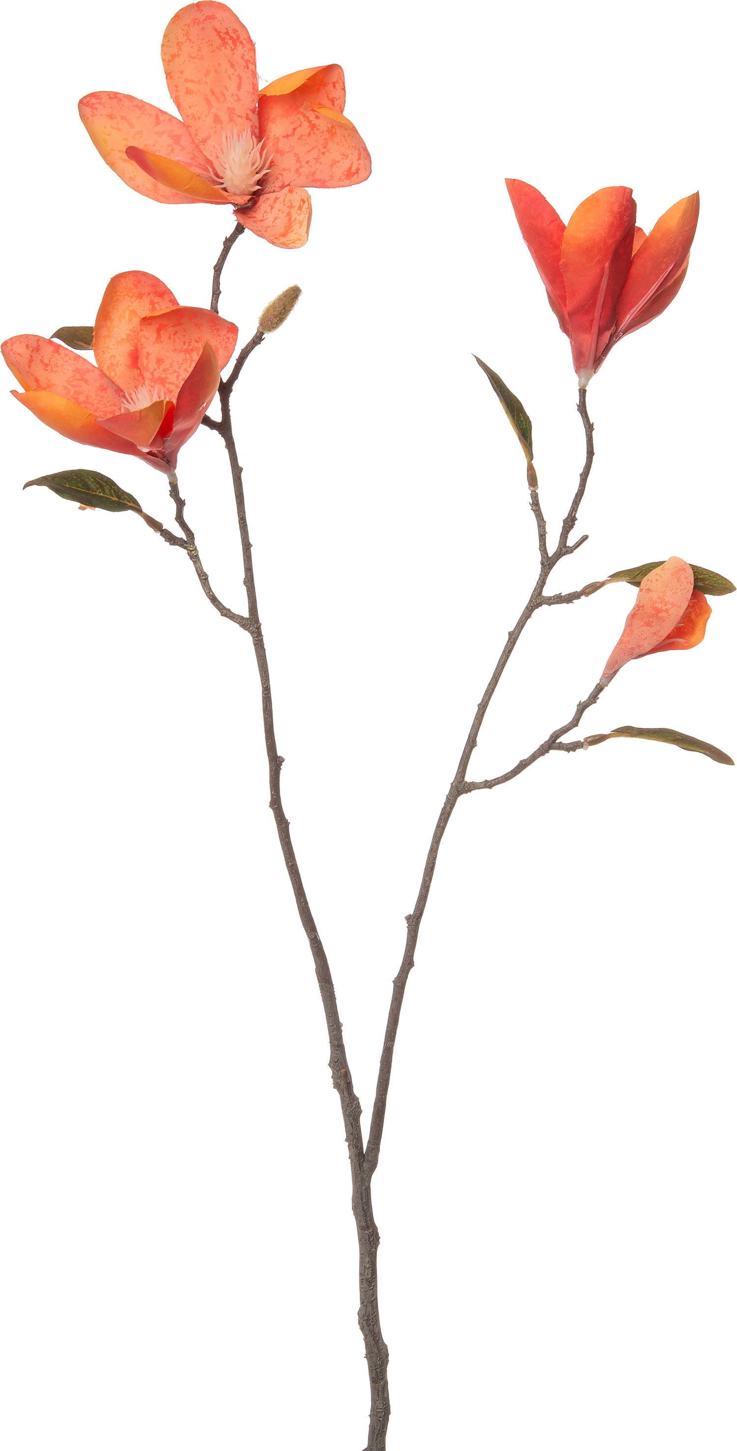 Intratuin kunstbloem Magnolia 76 cm oranje