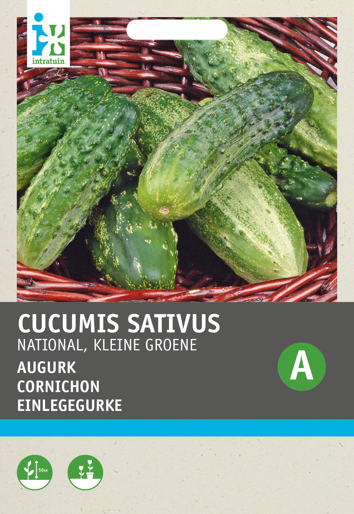 Intratuin groentezaad Augurken kleine scherpe groene (Cucumis sativus)