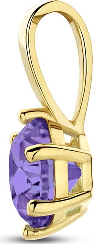 Hanger - Geelgoud - 14K - Geboortesteen Zirkonia - 9x4.2mm