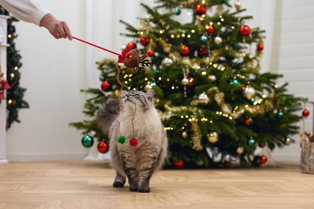 Beeztees Kattenhengel Rendier - Kattenspeeltje - 45 cm
