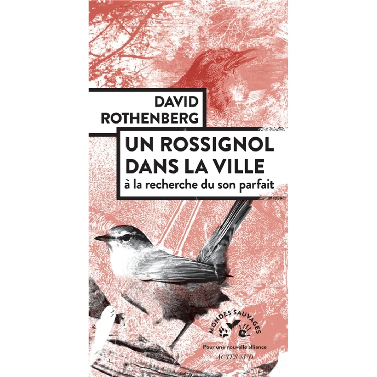 Un rossignol dans la ville : à la recherche du son parfait · Occasion