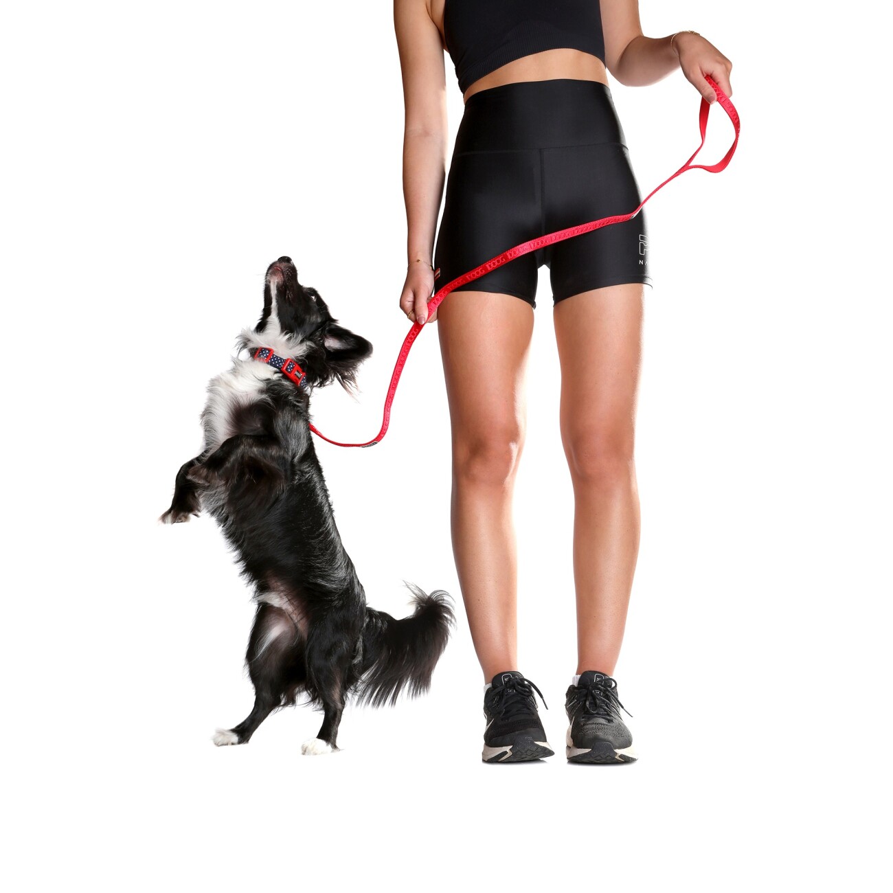 DOOG Neosport Leine RED S