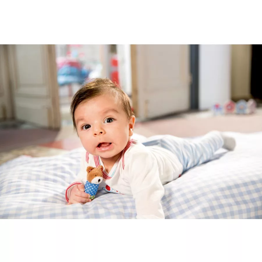 Coppenrath Minirassel Lieblingstiere BabyGlück