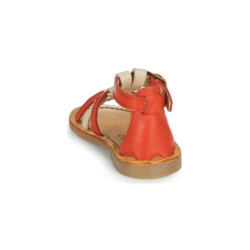 Citrouille et Compagnie - GITANOLO - Corail / rose