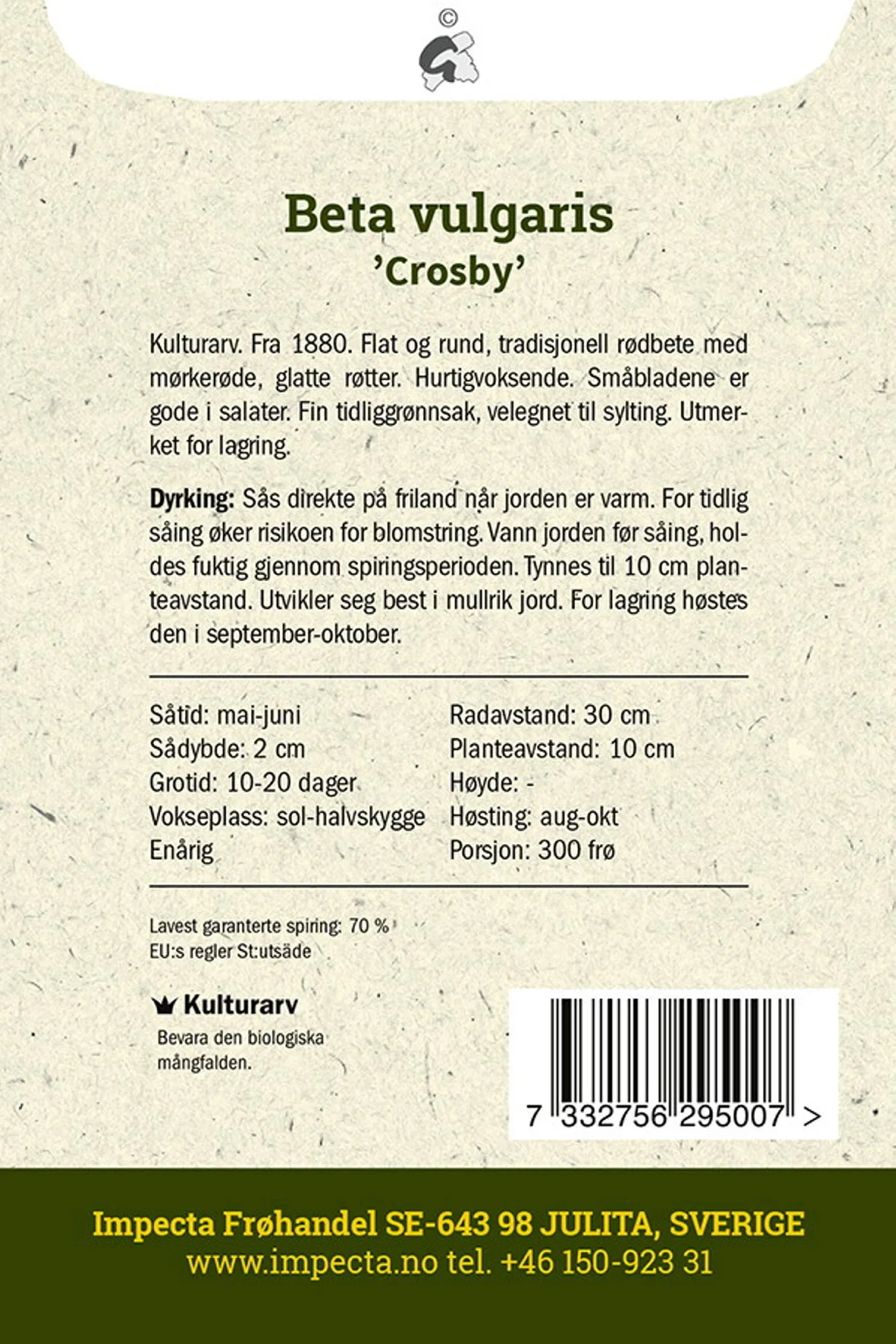 Beta vulgaris 'Crosbys Egyptian' Rødbete 'Crosby'