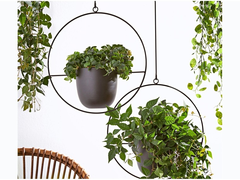 Hangpot