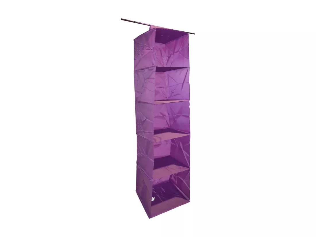 Organisateur de penderie en pvc 5 cases will b Prune