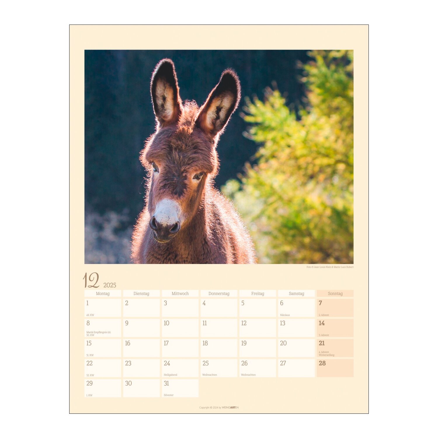 Kalender Esel 2025