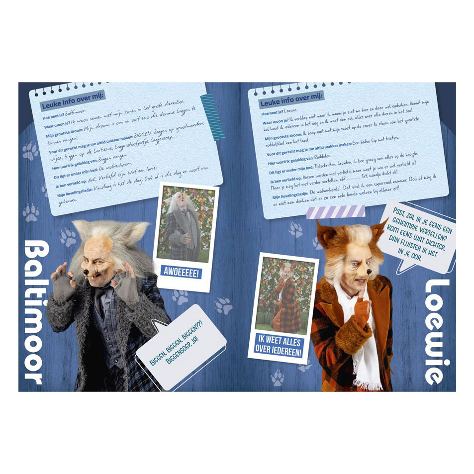K3: 3 Biggetjes Fanboek met Stickers
