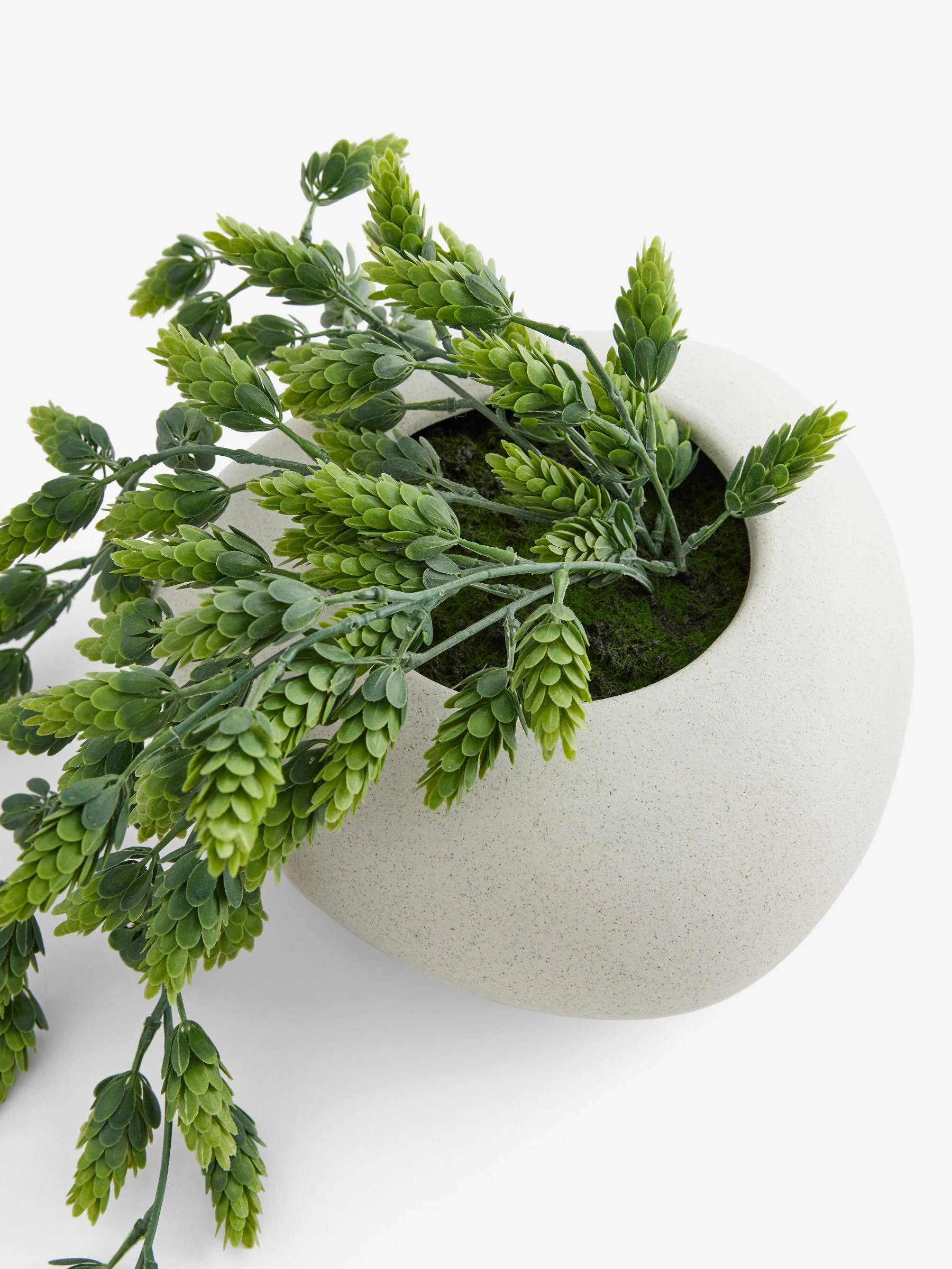 Kunstmatige hangende hop in witte keramische pot