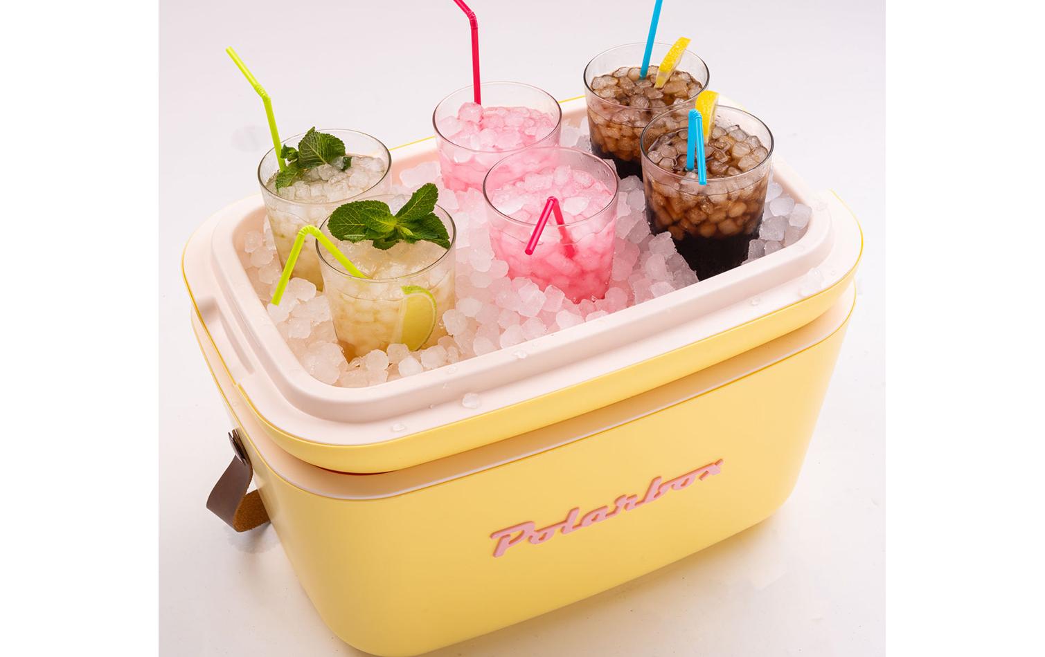 Kühlbox Retro Cooler 20 lKlassische Kühlbox
