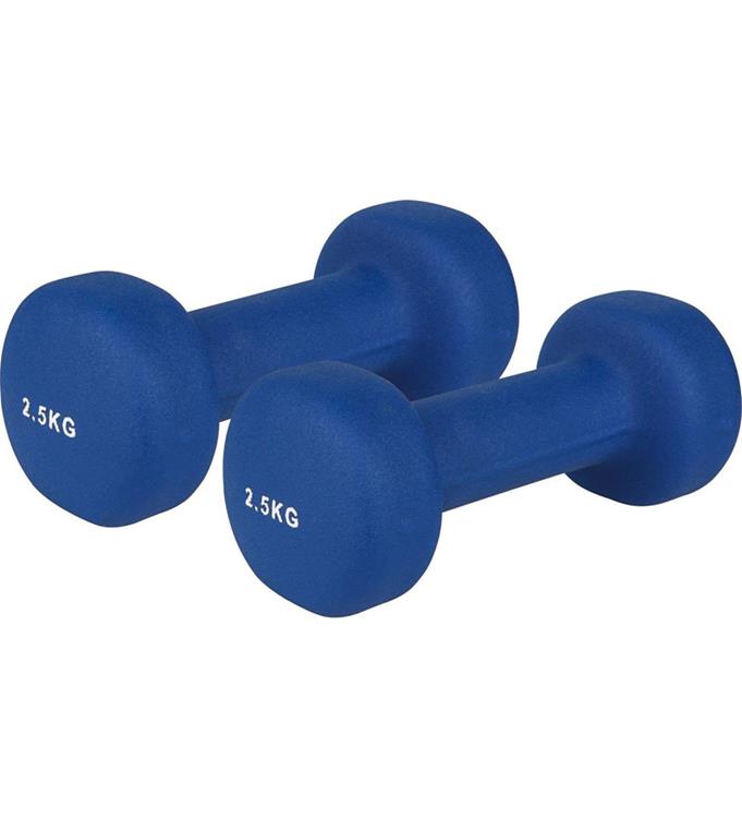 V3Tec Neopreen Handhalters 2x 2,5 kg