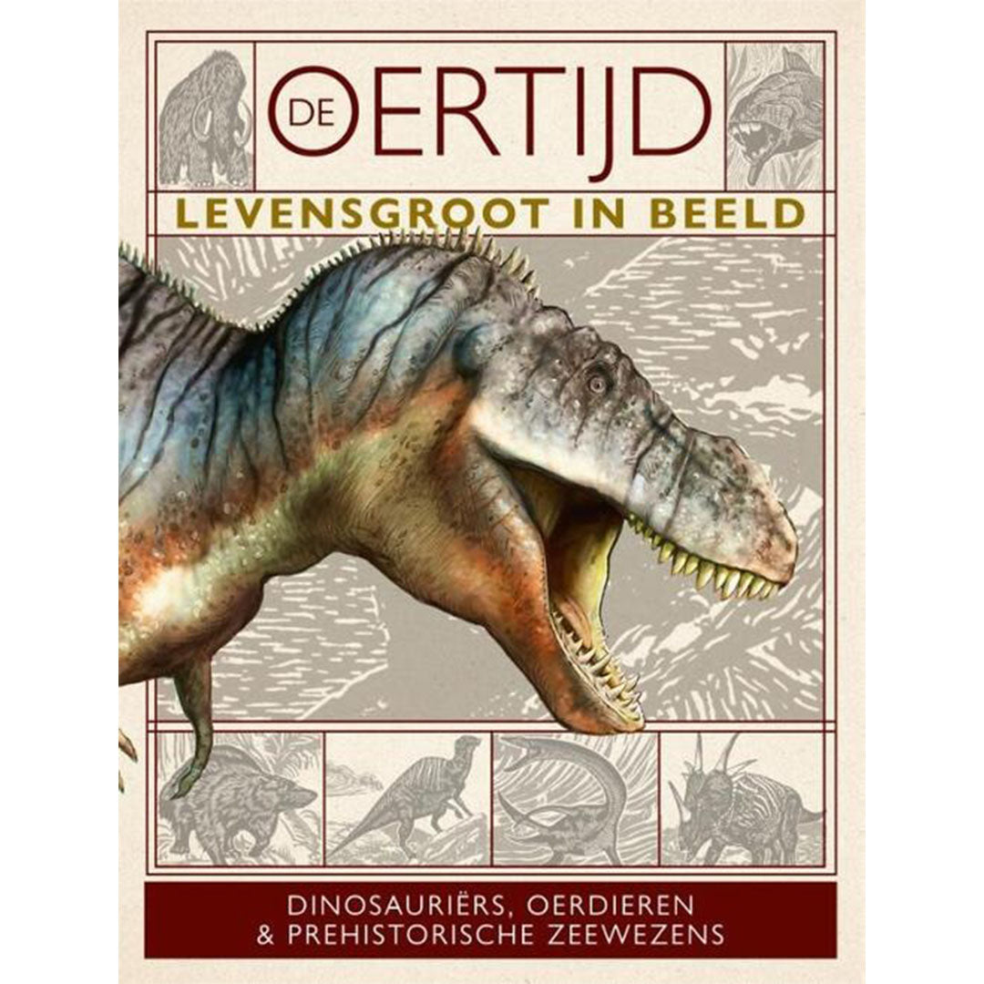 uitgeverij gottmer de oertijd levensgroot in beeld