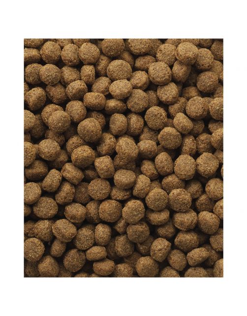 Versele-Laga Classic Puppy - Hondenvoer - 10 kg