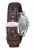 Nixon The Charger Chrono Leather Silver / Brown A1073-1113