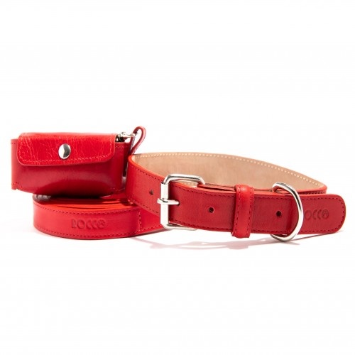 Conjunto Leal Rocco coleira vermelha para cães