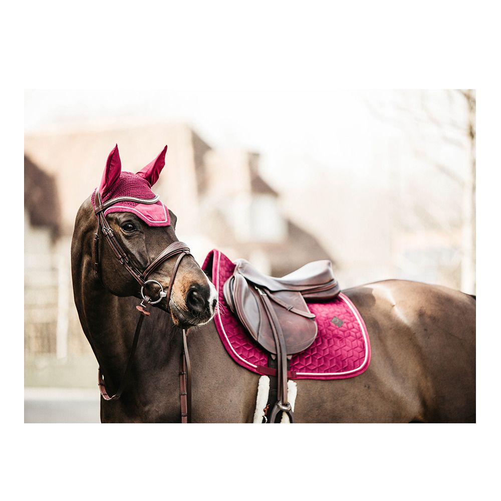 Kentucky VELVET d'obstacle - Tapis fuchsia