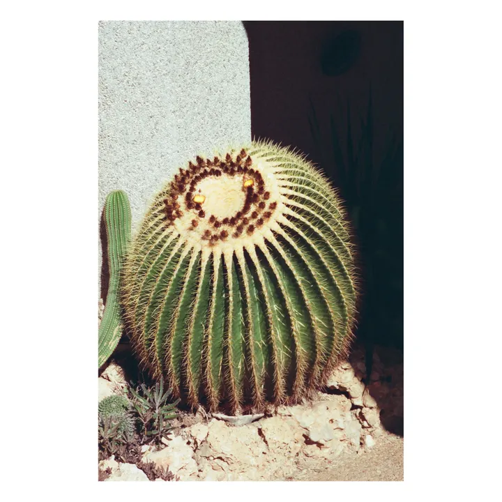 Dubblefilm Pellicule Couleur Treat Iso 400