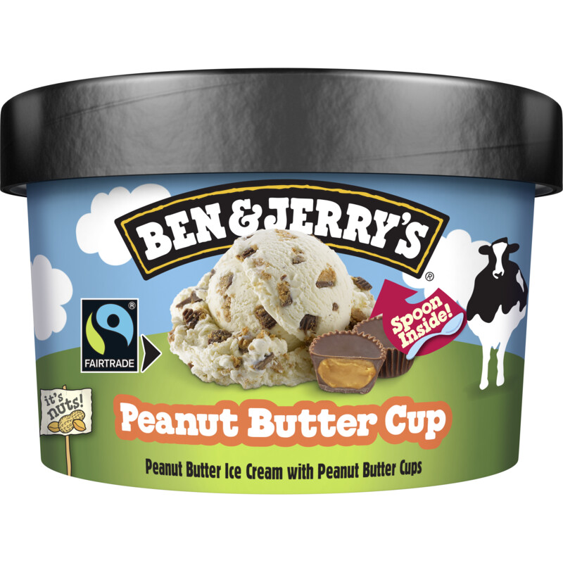 Ben & Jerry's Peanut butter cup