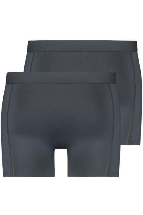 RJ Bodywear grijze heren ondergoed