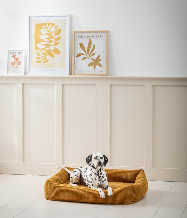 Dehner Premium Orthopädisches Hundebett