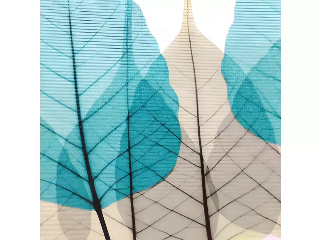 Tableau dessin feuilles sur cadre en bois noir 40x40 cm - LEAF