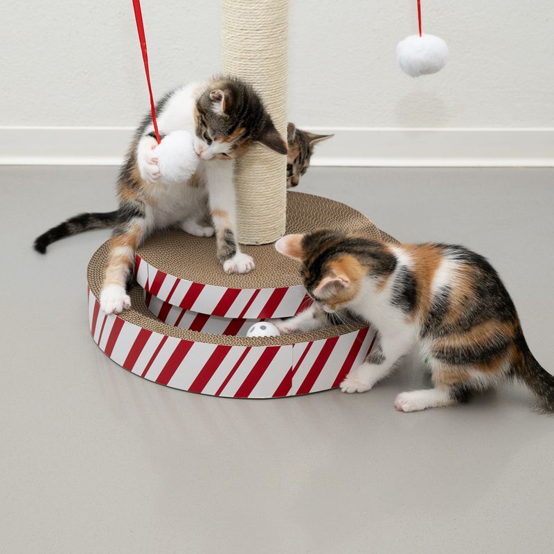 Tronc à griffer TIAKI Multitoy 4 en 1 pour chat