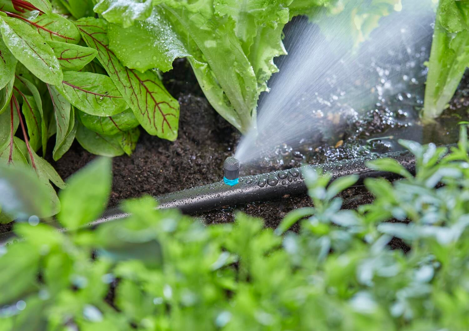 Gardena Micro Drip systeem eindsproeikop 5 stuks