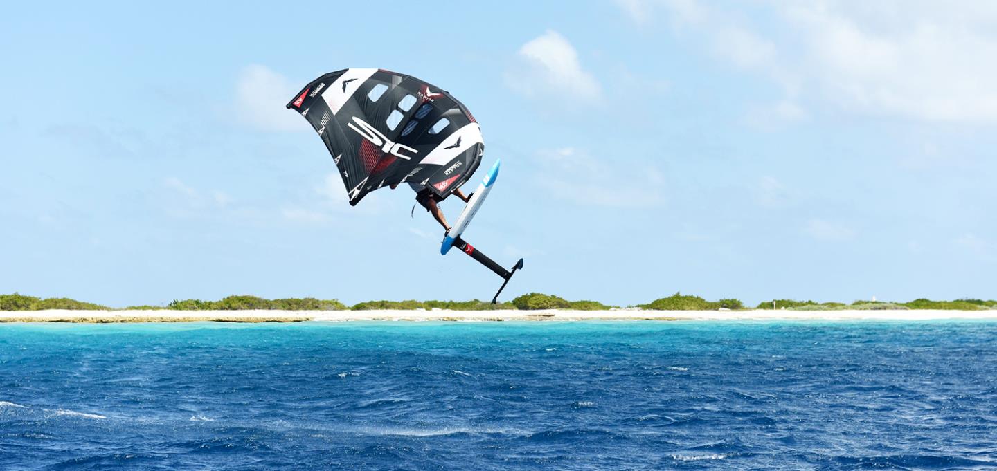 SIC Raptor Wing - v3 2.5 m²