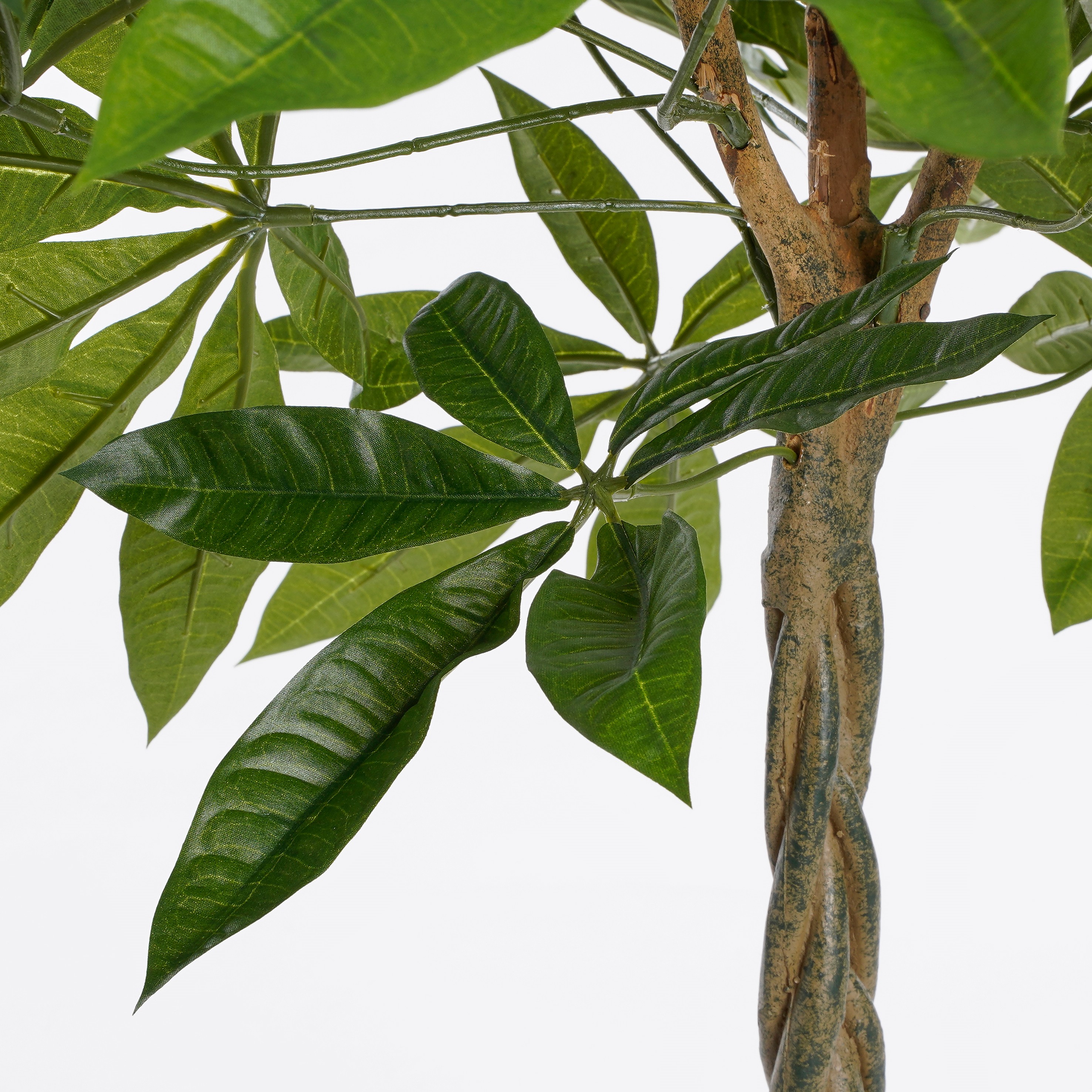 Mica decorations - pachira artificielle en pot h80