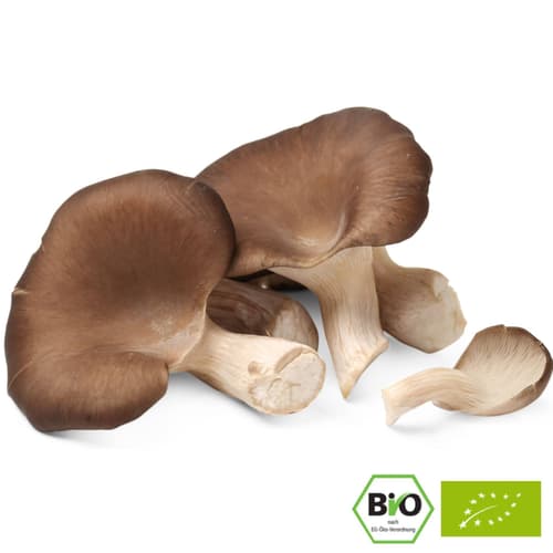 Bio Austernpilze, Schale