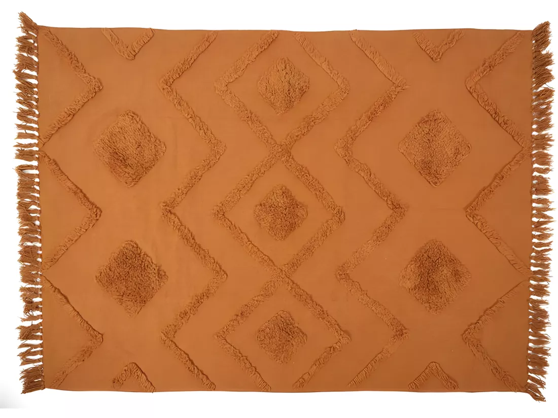 Tapis Ethinique Tufte Terracotta 120x170cm