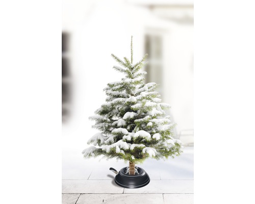 Krinner Vario Outdoor kerstboomstandaard, max. boomhoogte 250 cm, max. stamdiameter 12 cm
