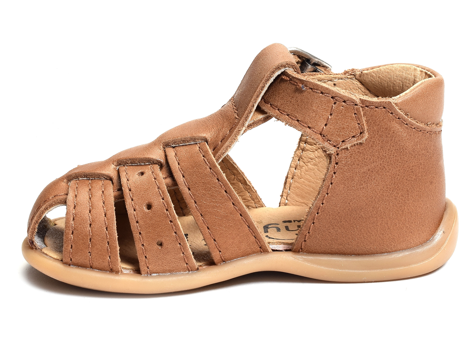 Parvi camel