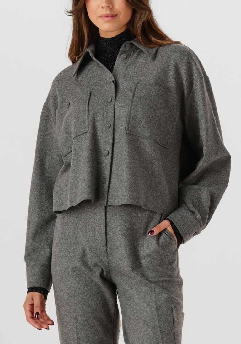 grijze luisa cerano blouses 228010/3309