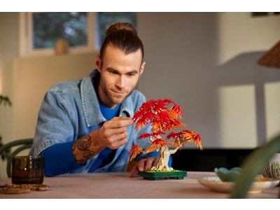 LEGO Japanse esdoorn bonsaiboompje (10348)