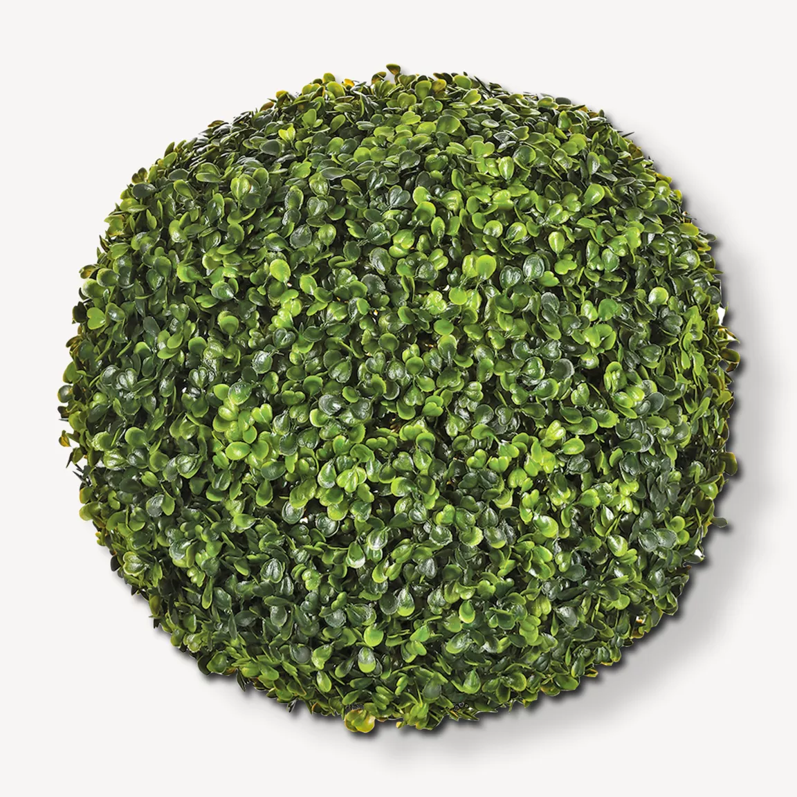 Plante artificielle (D38 cm) Boule de Buis
